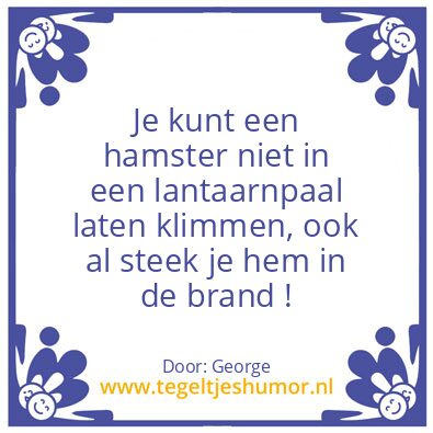 Tegeltje: George
