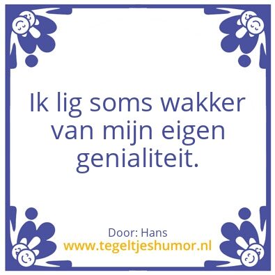 Tegeltje: Geniaal