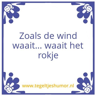 Tegeltje: Rokje