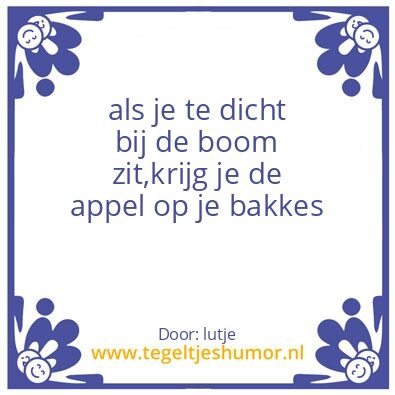 Tegeltje: wijheid van lutje