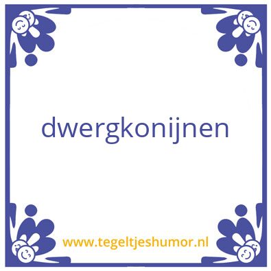 Tegeltje: dwergkonijnen