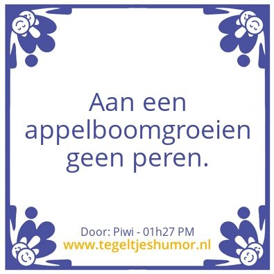 Tegeltje: Levenswijsheden