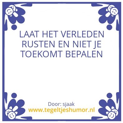 Tegeltje: WIJZE RAAD