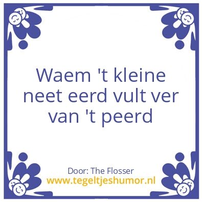 Tegeltje: humor