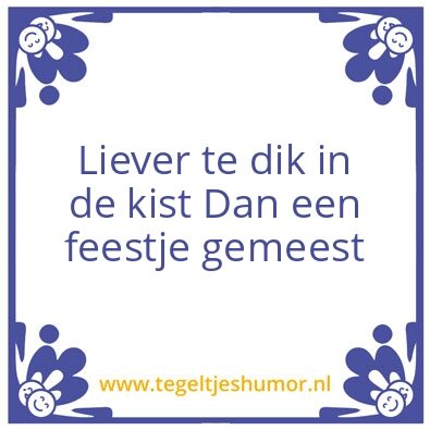 Tegeltje: Liever dik