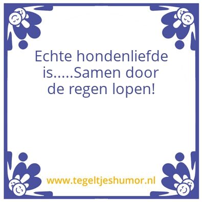 Tegeltje: Regen