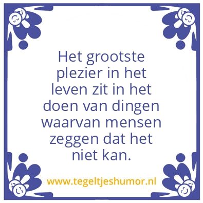 Tegeltje: Plezier