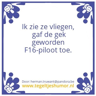 Tegeltje: vliegen