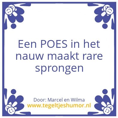 Tegeltje: Foutje Bedankt