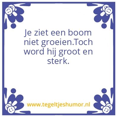 Tegeltje: Boom
