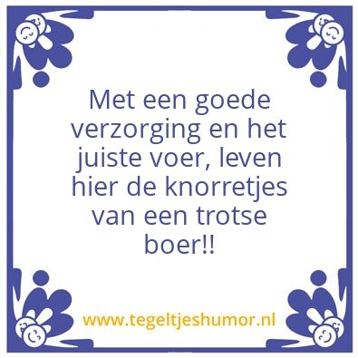 Tegeltje: leuk