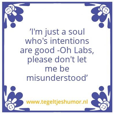 Tegeltje: Misunderstood