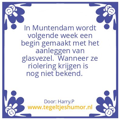 Tegeltje: Glasvezel