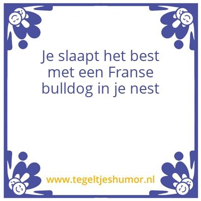 Tegeltje: Bulltegel