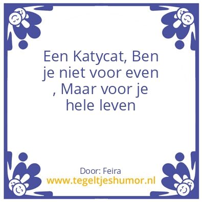 Tegeltje: Katycat