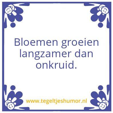 Tegeltje: Waarom ik zo klein ben?