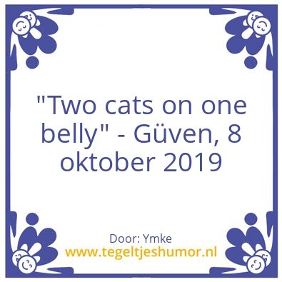 Tegeltje: Cat