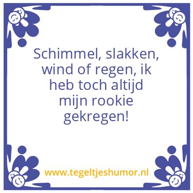 Tegeltje: Rookie