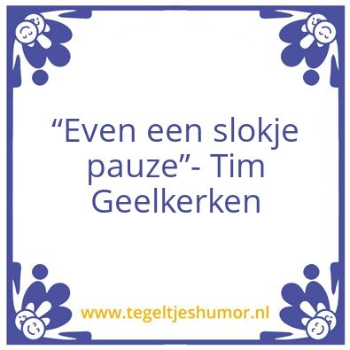 Tegeltje: Tims taalvauten