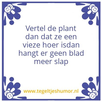 Tegeltje: Bladbegonia
