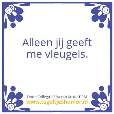 Tegeltje: Vleugels