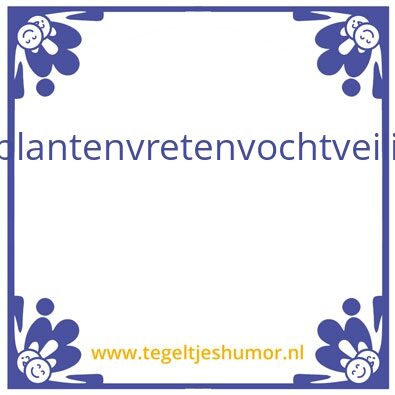 Tegeltje: hooglander wisdom