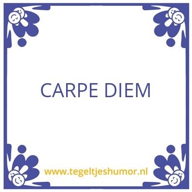 Tegeltje: Carpe diem
