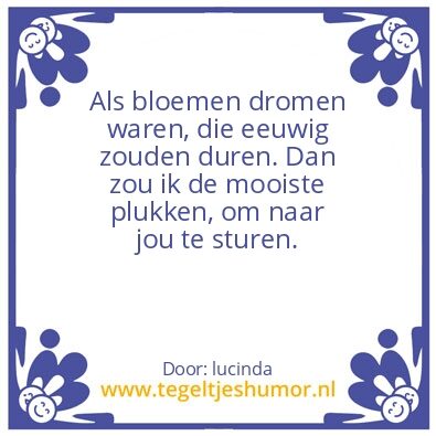Tegeltje: Dromen