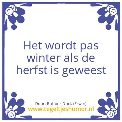 Tegeltje: wijsheid