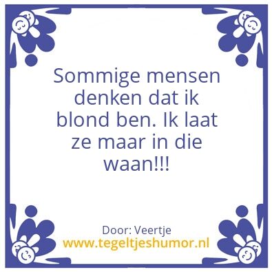 Tegeltje: Domheid