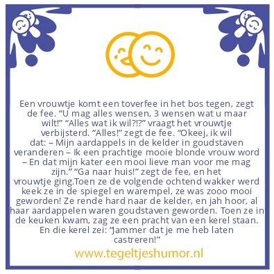 Tegeltje: Toverfee