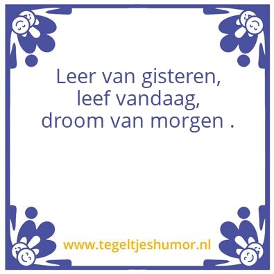 Tegeltje: Niels