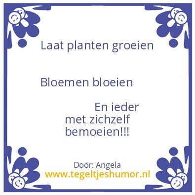 Tegeltje: Spreuk van de dag!