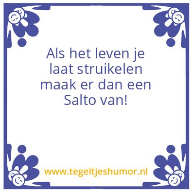 Tegeltje: Leven