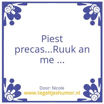 Tegeltje: Past Precies