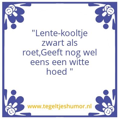 Tegeltje: Kooltje