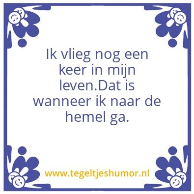 Tegeltje: Vliegen