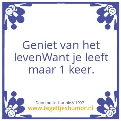 Tegeltje: yolo