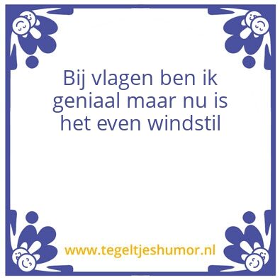 Tegeltje: Geniaal