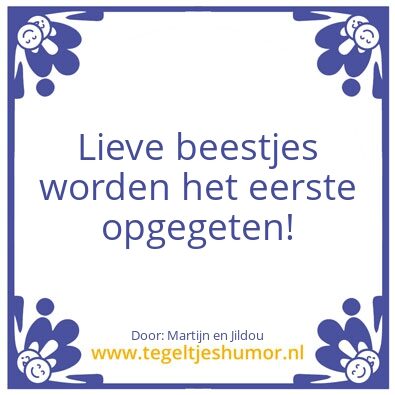 Tegeltje: Yuki