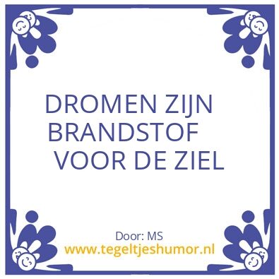 Tegeltje: D R O M E N