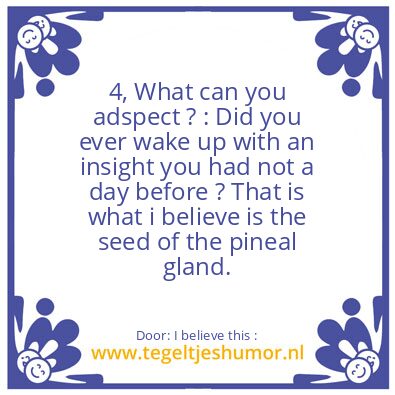 Tegeltje: The Seed of the Pineal Gland