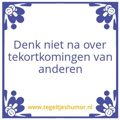 Tegeltje: Tekortkomingen