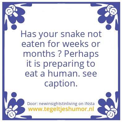 Tegeltje: Has your snake not eaten ?