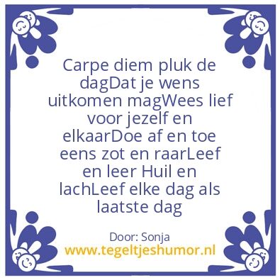 Tegeltje: Carpe diem