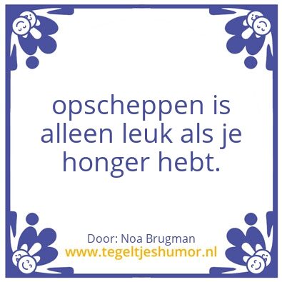 Tegeltje: stens tegeltje