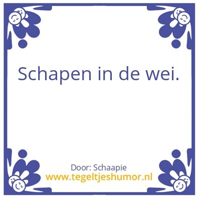 Tegeltje: Schaap