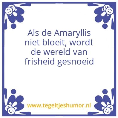 Tegeltje: Amaryllos