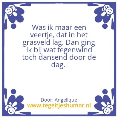 Tegeltje: Veertje