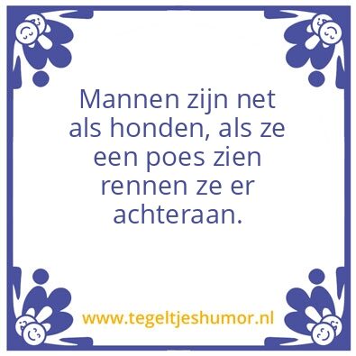 Tegeltje: Poes